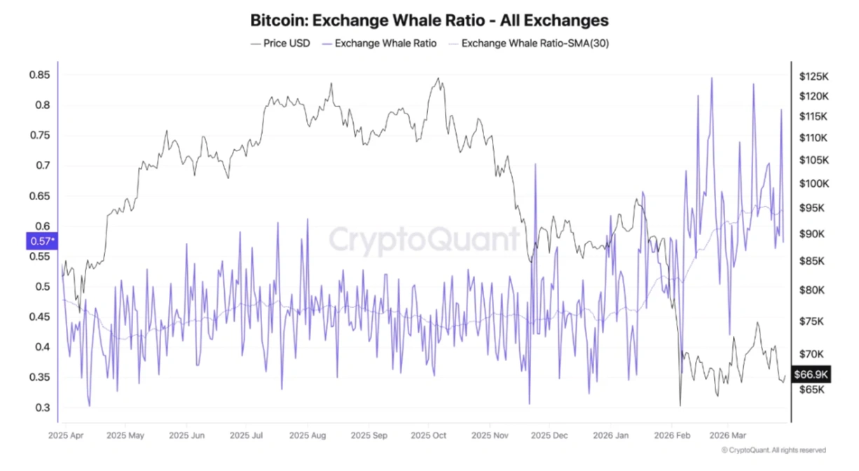 نسبت نهنگ‌های صرافی بیت کوین